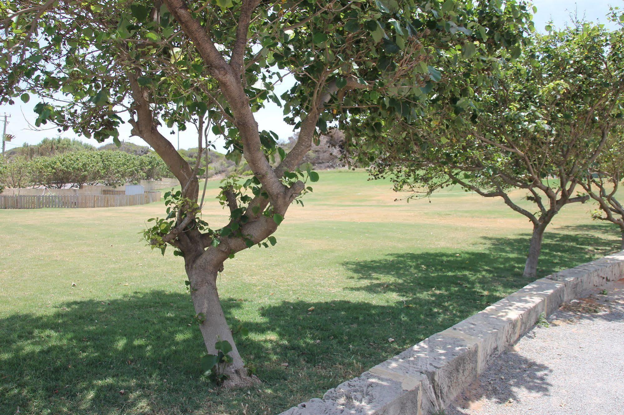 Seaspray Beach Holiday Park Dongara Exterior foto